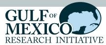 Gulf of Mexico Research Initiative Logo