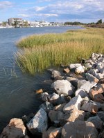 Scientists say we must adapt to save vital Delaware resources