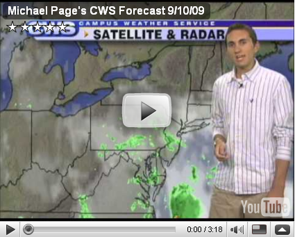 Michael Page CWS forecast