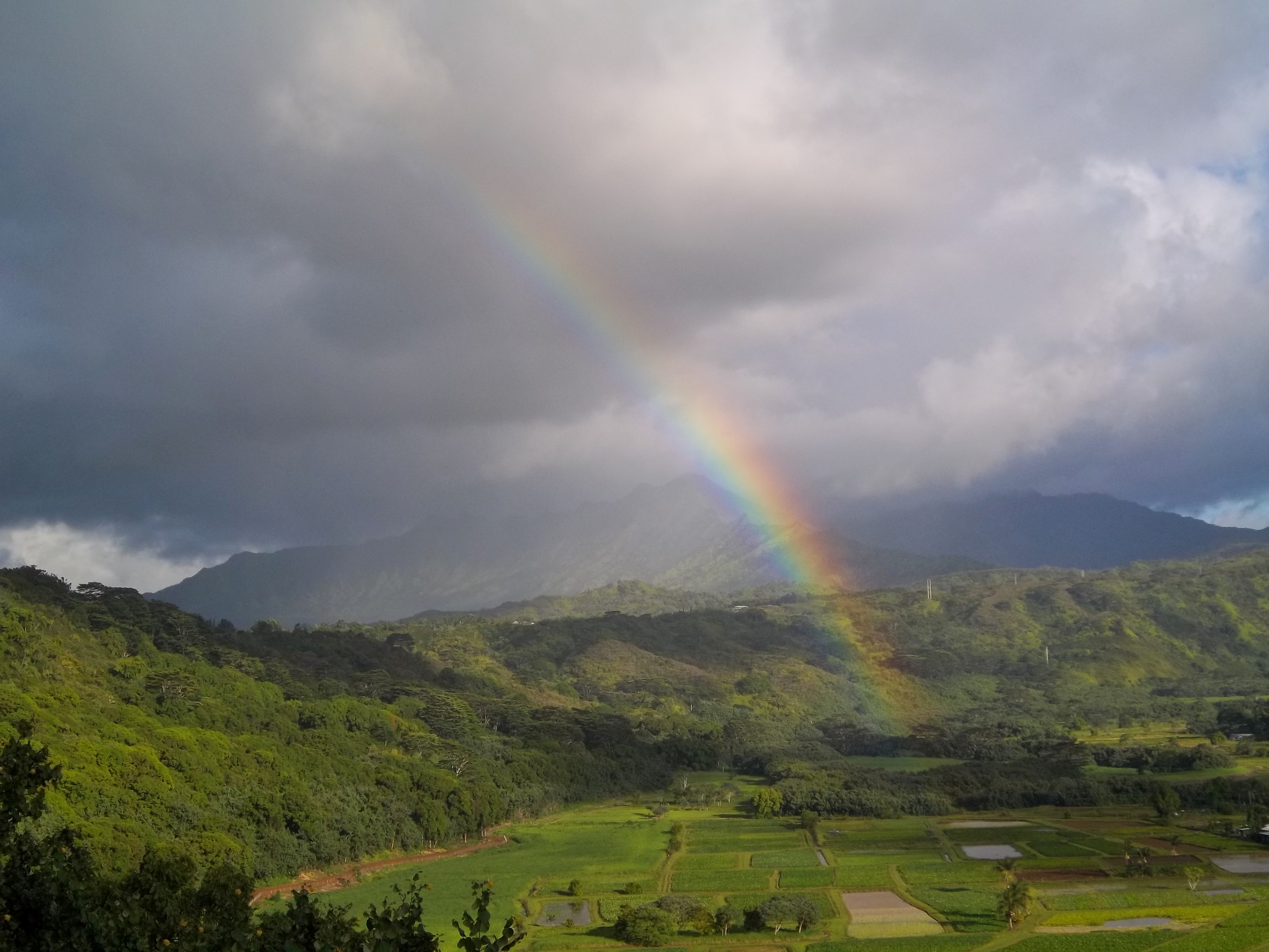Nathan Lis Rainbow over Hanalei Valley