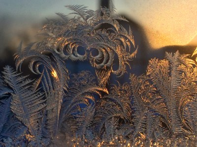Anthony Preucil 2017 Frost on window after freezing fog
